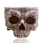 image of skull