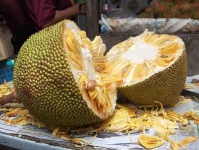 image of jackfruit