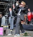image of cornet