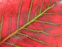 image of texture