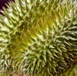 image of texture