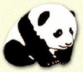 image of animal
