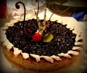 image of food