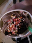 image of food