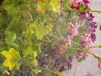 image of texture