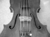 image of violin