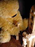 image of teddy