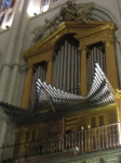 image of organ #18