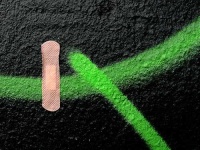 image of band_aid