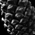 image of texture