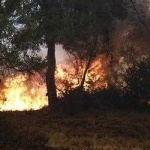 image of wildfire