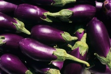 image of eggplant #24