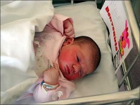 image of cradle