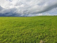 image of grassland