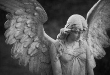 image of angel