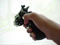 image of revolver