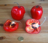 image of fruit_and_vegetable