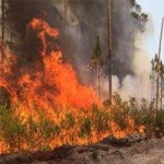 image of wildfire