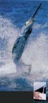 image of gar