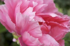 image of texture