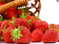 image of food