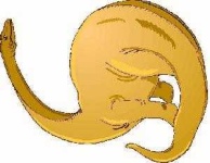 image of brontosaurus