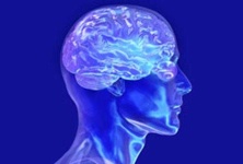 image of brain