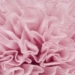image of texture
