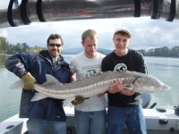 image of sturgeon