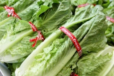 image of fruit_and_vegetable