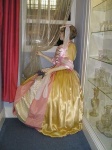image of hoopskirt