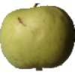 image of fruit