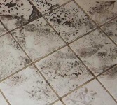 image of texture