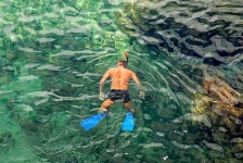 image of snorkel