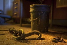 image of hook
