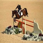 image of sport