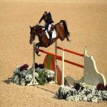 image of horse_jumping #18