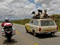 image of beach_wagon_car