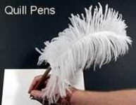 image of quill