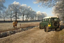 image of jeep_car