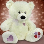 image of teddy_bear
