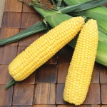 image of sweetcorn #29