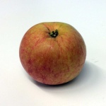 image of apple #20