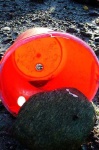image of bucket