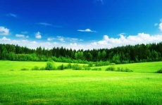 image of grassland