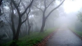 image of foggy