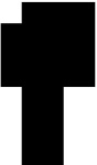 image of palm_tree