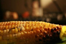 image of ear_corn #7