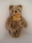 image of teddy