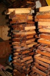 image of apiary
